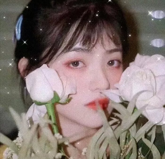 消失的坚果